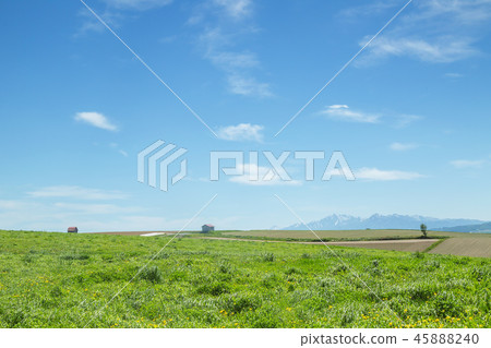 日本，北海道，北海道，美瑛町，田野 45888240
