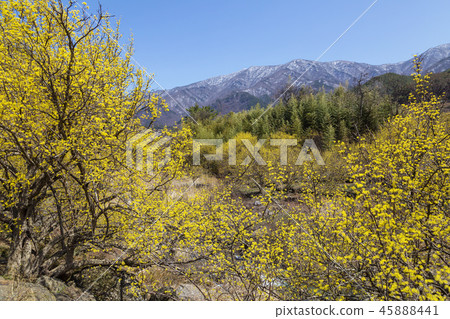 全羅南道求禮山水峪村 全羅南道求禮山水峪村 45888441