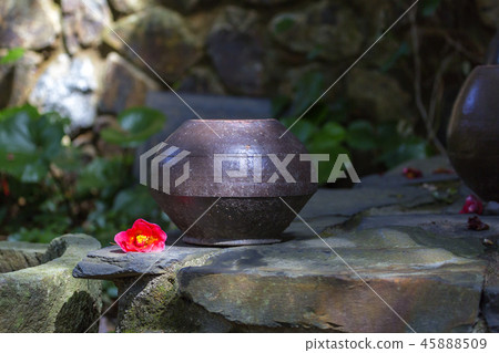 花,山茶花 45888509