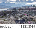 Jeonnam, Travel, showplace 45888549