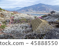 Jeonnam, Travel, showplace 45888550