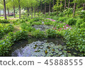 Gyeonggi-do, Korea, Travel 45888555