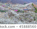 Jeonnam, Travel, showplace 45888560