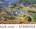 Jeonnam, Travel, showplace 45888564