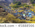 Jeonnam, Travel, showplace 45888566