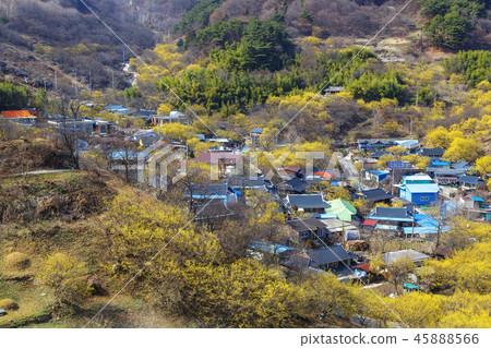 全羅南道求禮山水峪村 全羅南道求禮山水峪村 45888566