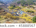 Jeonnam, Travel, showplace 45888567