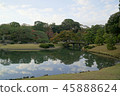 Tokyo Metropolitan Garden 45888624