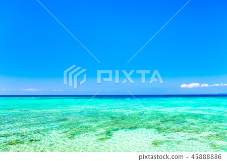 Sea Nago in Okinawa 45888886