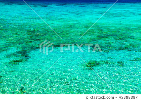 Sea Nago in Okinawa 45888887