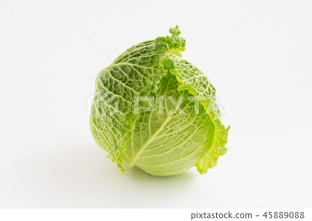 Savoy cabbage 45889088