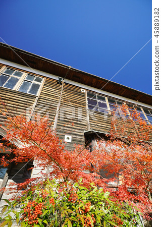 Wooden school building school and colored leaves Wooden school building school and colored leaves 45889182