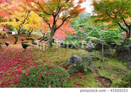 秋天秋葉狩獵Yushien 秋天秋葉狩獵Yushien 45889203