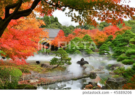 Fall autumn leaves hunting of Yushien Fall autumn leaves hunting of Yushien 45889206