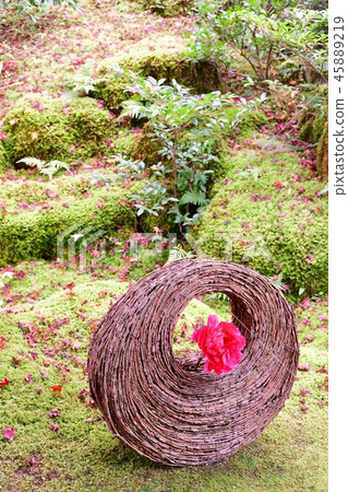 Fall autumn leaves hunting of Yushien Fall autumn leaves hunting of Yushien 45889219