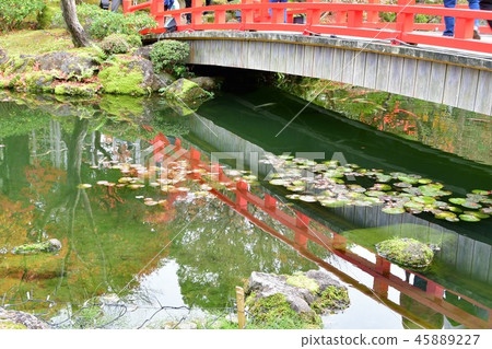 Fall autumn leaves hunting of Yushien 45889227