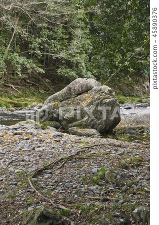 Autumn leaves of Agatsuma Gorge 45890376