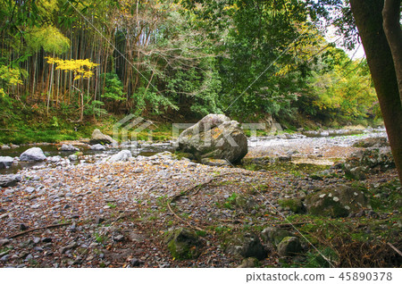 Autumn leaves of Agatsuma Gorge 45890378