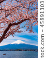 富士河口湖的櫻桃樹3 45891303