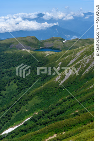 Summer Hakuba Oi Pond Summer Hakuba Oi Pond 45892019