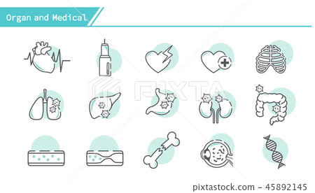 Organ and medical icon set Organ and medical icon set 45892145