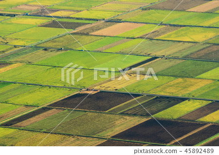 Aerial View of agricultural fields in countryside of Japan in sp 45892489
