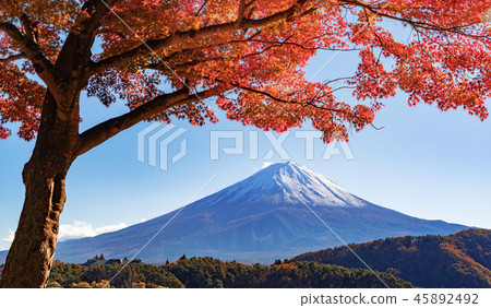 Fall foliage in autumn season and Mountain Fuji near Fujikawaguc Fall foliage in autumn season and Mountain Fuji near Fujikawaguc 45892492