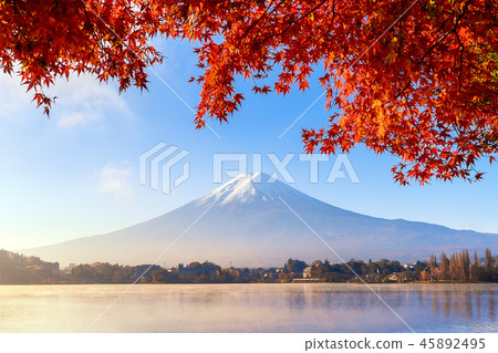 Fall foliage in autumn season and Mountain Fuji near Fujikawaguc Fall foliage in autumn season and Mountain Fuji near Fujikawaguc 45892495