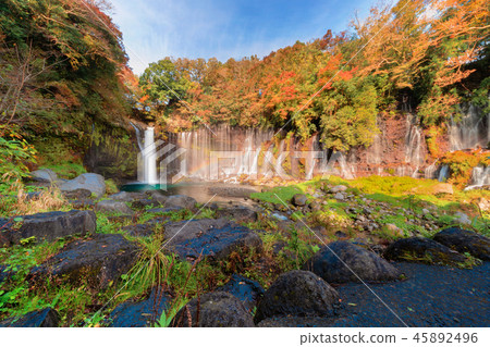 Waterfall. Fall foliage in autumn season near Fujikawaguchiko, Y Waterfall. Fall foliage in autumn season near Fujikawaguchiko, Y 45892496