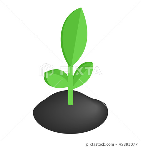Sprout isometric 3d icon 45893077