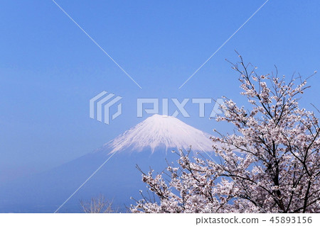 Impression of spring 45893156