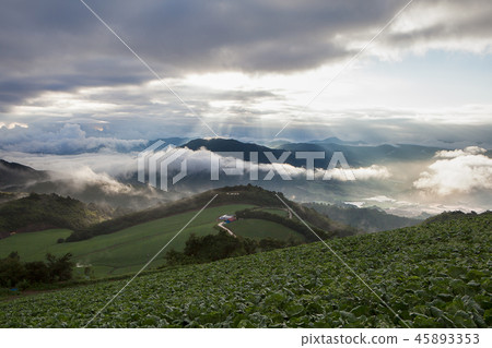 The land above the clouds 45893353