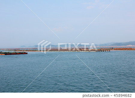 海和農業 45894682