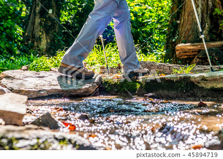 Young girl woman Hiking schoes and sticks detail view in the forest outdoor activity in nature Young girl woman Hiking schoes and sticks detail view in the forest outdoor activity in nature 45894719