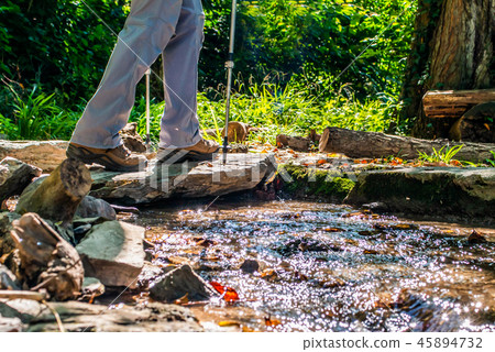 Young girl woman Hiking schoes and sticks detail view in the forest outdoor activity in nature 45894732