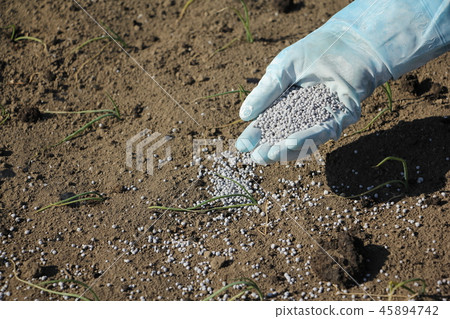 播種肥料 45894742
