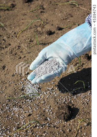 Sow fertilizer 45894743