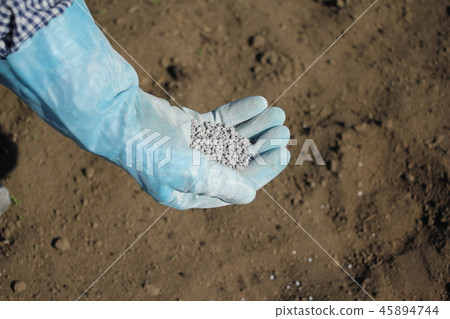 Sow fertilizer 45894744