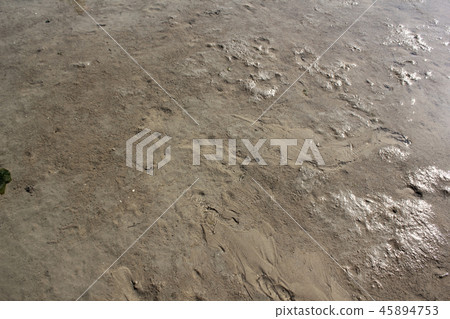 沙灘 沙灘 45894753