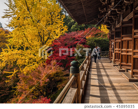 Hengji Temple in the autumn leaves Hengji Temple in the autumn leaves 45895035