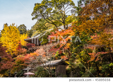 恆基寺在秋天的落葉 45895038