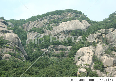 Rocky mountain Rocky mountain 45895165