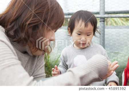 Panda mouse, mother, daughter, family, feeding 45895392