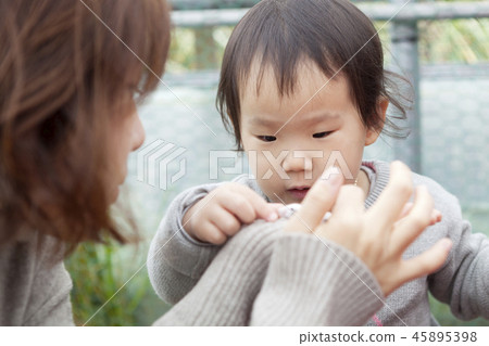 Panda mouse, mother, daughter, family, feeding 45895398