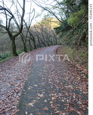 Late autumn mountain trail 45896145