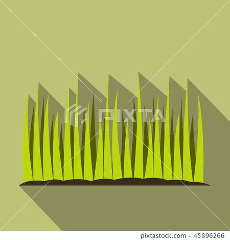 Growing grass flat icon Growing grass flat icon 45896266
