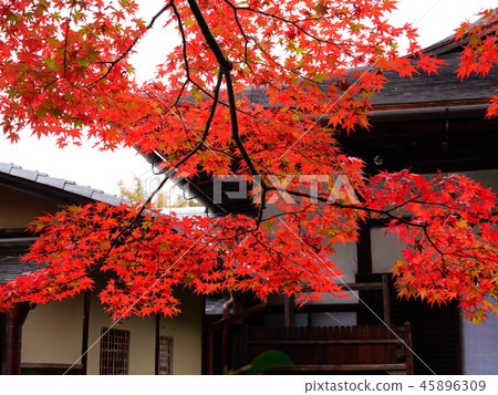 Nanzenji Tensakuan 45896309