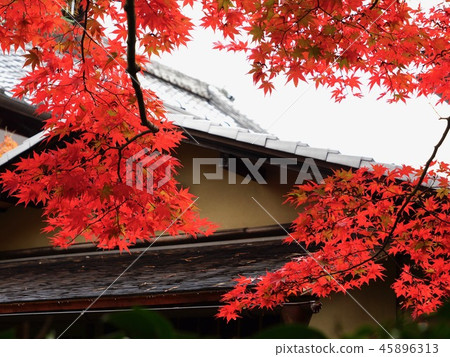 南禪寺Tensakuan 南禪寺Tensakuan 45896313