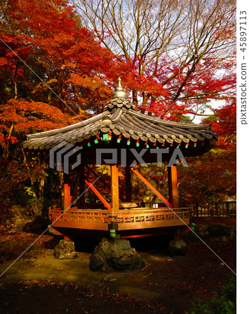 Momijidani Park (Yamaguchi Prefecture: Iwakuni) Momijidani Park (Yamaguchi Prefecture: Iwakuni) 45897113