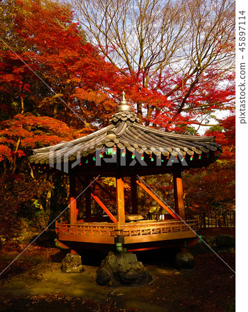 Momijidani Park（山口縣：岩國市） 45897114